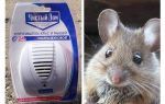 Répulsif ultrasonique de rats et souris Clean house
