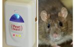 Pest Redzhekt répulsif à ultrasons rongeurs et insectes