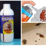 Cucaracha remède contre les punaises