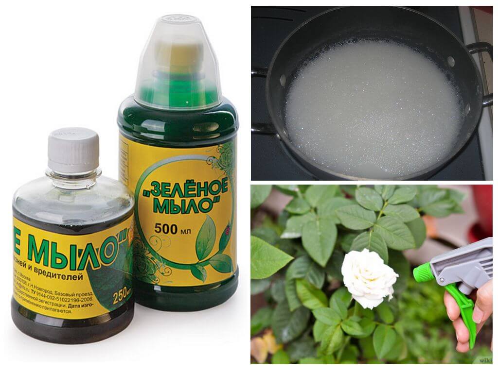 Usines de traitement avec du savon vert